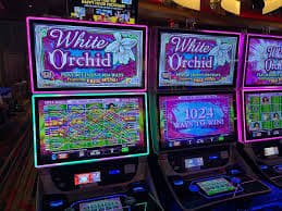 Pengalaman bermain Live Casino bersama dealer langsung interaktif menggunakan perangkat mobile